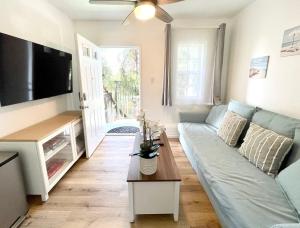 ein Wohnzimmer mit einem blauen Sofa und einem TV in der Unterkunft Hidden Gem with Hot Tub and Parking - 4 Guests in San Diego