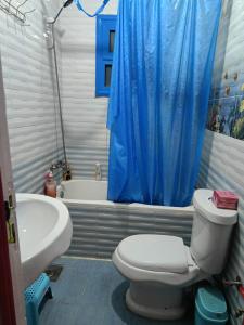 a bathroom with a white toilet and a blue shower curtain at شقه مفروشه فرش فندقي بمدينه العبور الحي الراقي فيو حديقه in ‘Ezbet el-Insha