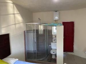 a bathroom with a shower and a toilet at Habitación privada Leonera in Cholula