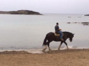 Ein Mann reitet ein Pferd am Strand in der Unterkunft B&B La Pineta in SantʼAntìoco