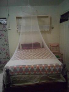a bed with a canopy in a room at Captain Morgan House in Kingston