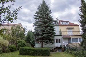 un gran pino frente a una casa en Wilanowska Hostel, en Varsovia