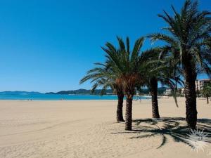 duas palmeiras sentadas numa praia arenosa em Appartement Le Lavandou, 4 pièces, 6 personnes - FR-1-251-805 em Le Lavandou