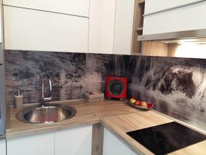 Kuchyň nebo kuchyňský kout v ubytování Apartment King + 37 fotografií