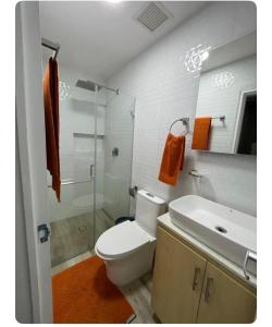 uma casa de banho com um WC, um lavatório e um chuveiro em Renewed apt in Altamira, the heart of Caracas em Caracas