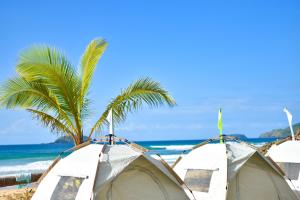 two tents on the beach with a palm tree at EL NIDO WATERSPORTS AND ADVENTURES BEACH CAMP in Duli