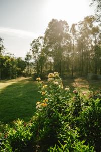 a garden with flowers and trees in the background at Hunter Moon Country House, Hunter Valley in Broke