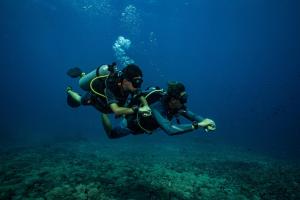 Hosté ubytování Trawangan Dive Resort