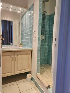 ein Bad mit einem Waschbecken und einer Dusche in der Unterkunft Maison Casanova in Orient Bay