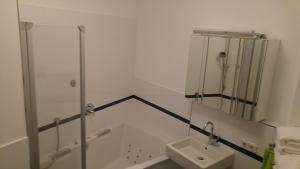 La salle de bains est pourvue d'une douche, d'un lavabo et d'un miroir. dans l'établissement Apartment Rhein Main, à Hochheim am Main