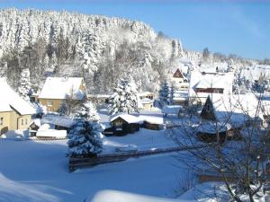 a village covered in snow with trees and houses at Däumler "House Am Weißwald" in Breitenbrunn