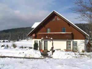 a house with snow in front of it at Däumler "House Am Weißwald" in Breitenbrunn