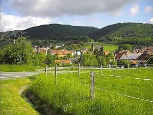 una valla al lado de una carretera con un pueblo en Imsbach am Donnersberg, 