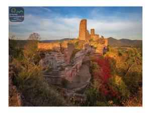 Naturlandskabet i nærheden af feriehuset
