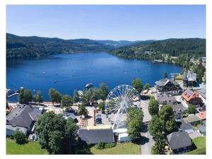 an aerial view of a town with a ferris wheel at Bärenhüsli No 7 in Titisee