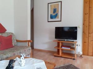 - un salon avec un canapé et une télévision dans l'établissement Bärenhüsli No 2, à Titisee