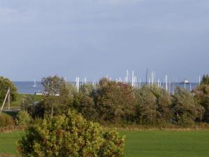 a green field with trees and sailboats in the water at "At Low 8" Merchant in Horumersiel +2 photos