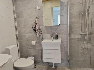 a bathroom with a shower and a toilet and a sink at Casa di Sanna with Sauna & free parking in Vantaa