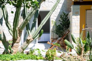 O grădină în afara Alex Studios & Apartments
