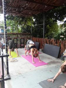 Majutusasutuse Hangover Hostels Mirissa külastajad