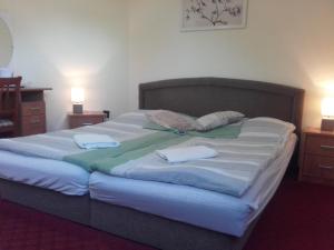 een slaapkamer met 2 bedden en handdoeken bij Domino Panzió in Székesfehérvár