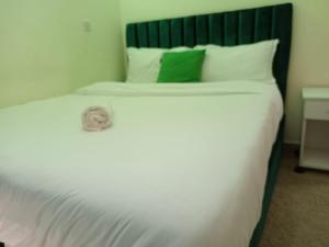 a white bed with a green headboard and white pillows at SuperhostHomes AirBnbs Nakuru in Nakuru