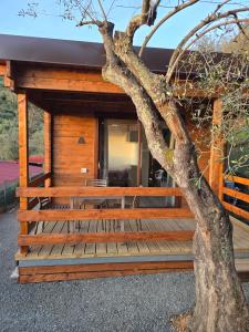 a log cabin with a tree in front of it at Campeggio Gianna Golfo dei Poeti in Lerici