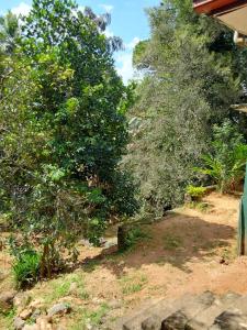 a yard with trees and dirt and a house at Kandy Breeze Stay in Urulewatta