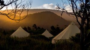 a group of white tents in a field with a mountain at Little Beach Resort in Four Mile Creek