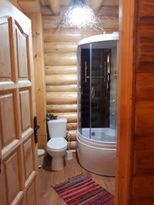 a bathroom with a toilet and a bath tub at Cabana Razesilor in Gura Humorului