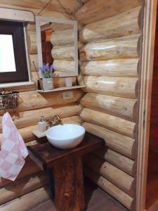 a bathroom with a sink and a wooden wall at Cabana Razesilor in Gura Humorului +17 photos