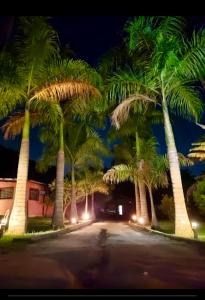 un grupo de palmeras en una carretera por la noche en Especial de Rock In Rio Village Club, en Río de Janeiro