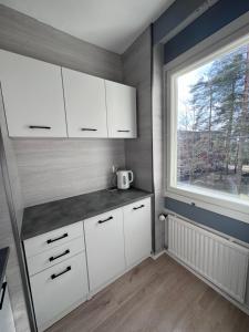科沃拉的住宿－Kymi apart，厨房配有白色橱柜和窗户。