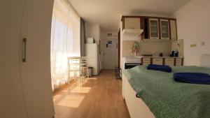 a room with a kitchen with a bed and a refrigerator at William's apartments - second cozy studio in Sveti Vlas