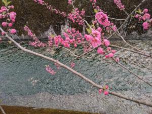 Jardín al aire libre en FarmStayINN 母屋 Sanzaemon-tei GuestHouse Second floor Shiga-Takasima Traditional Japanese architecture house Limited to one group per day