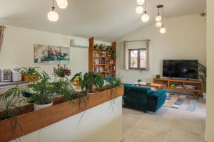 a living room with potted plants on a wall at Villa Alora in Pridraga +51 photos