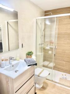La salle de bains est pourvue de toilettes, d'un lavabo et d'une douche. dans l'établissement Apartamento Zarracina Centro, à Gijón