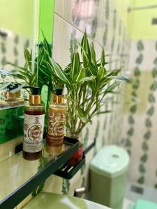 Dhee Ayurveda Villa في Malabe: حمام يوجد به نبات على رف بجانب مرحاض
