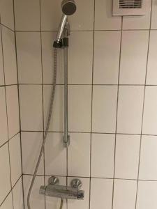 a shower with a shower head in a bathroom at Stebuklas in Vilnius