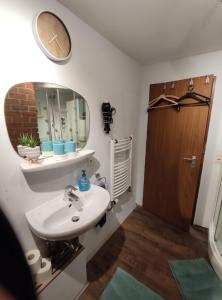 a bathroom with a sink and a mirror at Für Alleinreisende-1 Person- Single Room- Rustikales freistehendes Mini Holzfass zum Schlafen, mit angrenzendem Badezimmer! in Leverkusen