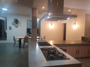 Villas Rocher - Standard Suite 3A في غراند بايَ: مطبخ مع موقد فرن علوي بجوار طاولة