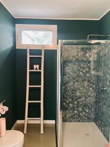 a bathroom with a ladder next to a shower at Patty's Lemonhouse in Limone sul Garda