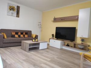 a living room with a couch and a flat screen tv at Apartamento Confort II in La Seu d'Urgell