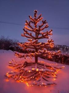Gallery image of Countryside experience in a Cozy Loft Near Bergen in Frekhaug