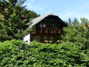 uma casa com um telhado de gambrel no topo das árvores em Luxurious Apartment in Heubach Germany in the Forest em Fehrenbach
