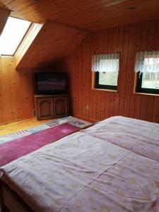 una camera con un grande letto e una TV di Domek letniskowy Pod brzozami Pszczew a Pszczew