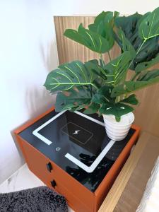 a table with a potted plant on top of it at Airhub Hostel Phuket Airport in Nai Yang Beach +26 photos