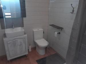 ein Bad mit einem WC, einem Waschbecken und einer Dusche in der Unterkunft chambre plénitude in Condé-sur-Noireau