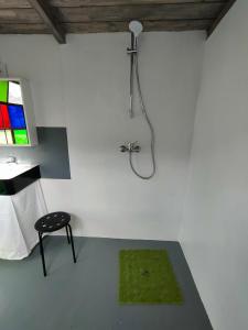 Dieses weiße Zimmer verfügt über eine Dusche und einen grünen Teppich. in der Unterkunft Wind in den Weiden, Übernachten am Bachlauf in Birstein