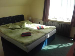 ein großes Bett in einem Zimmer mit Fenster in der Unterkunft Domino Panzió in Székesfehérvár